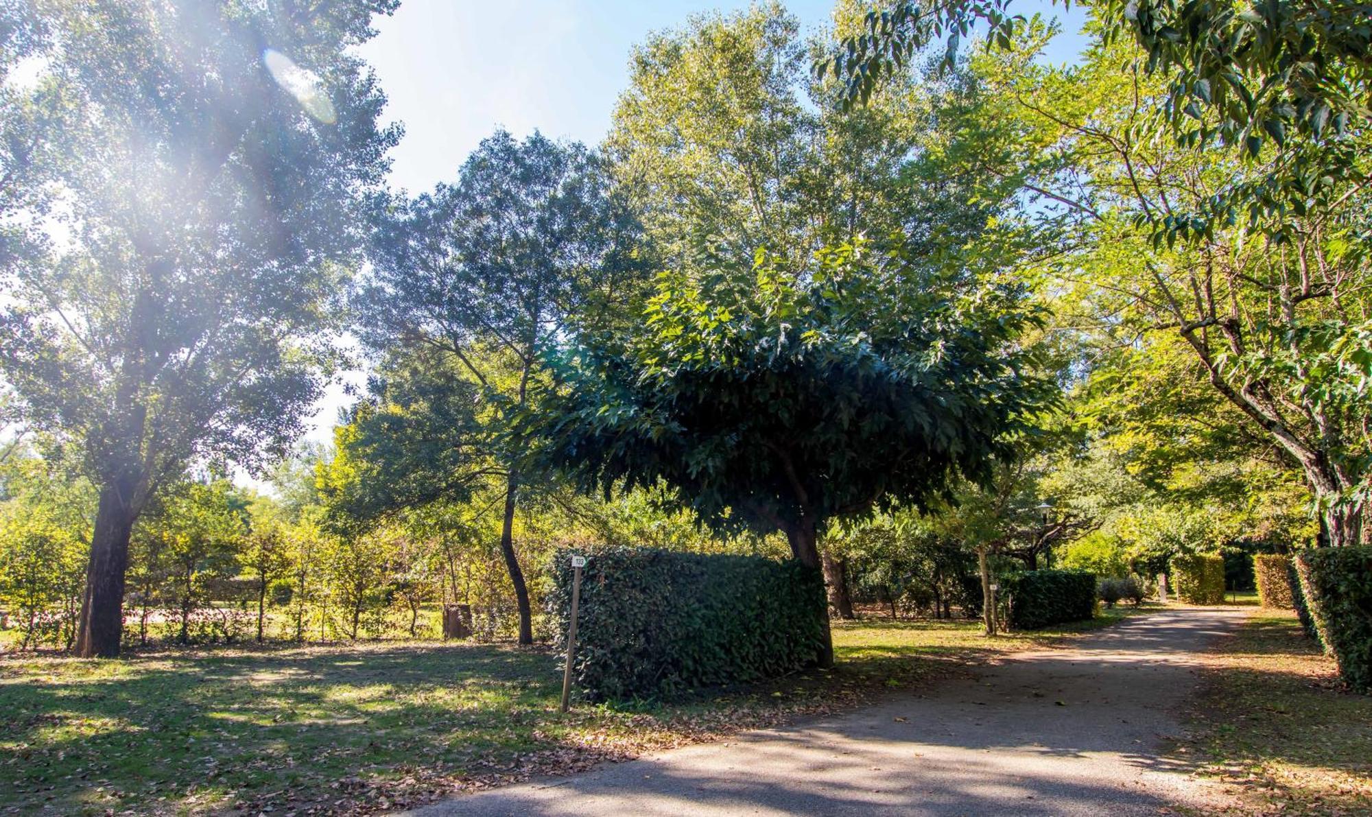 Hotel Du Cros D'Auzon Saint-Maurice-d'Ardeche ภายนอก รูปภาพ